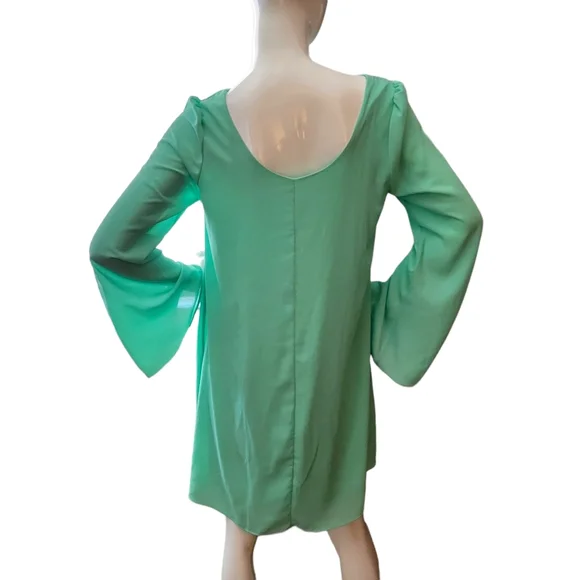 Pinkblush Bell Sleeves Dress - Picture 4 of 7